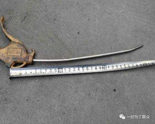图片 品牌 怎么样    
