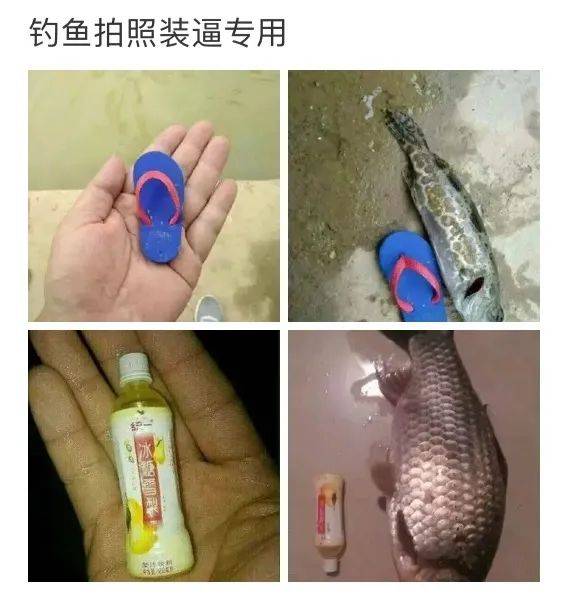 中国男人分两种 钓鱼的和不钓鱼的