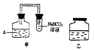 25. 选修1. 为探究洗衣粉加酶后的洗涤效果.将一种无酶洗衣粉分成3等份.进行3组实验.甲.乙组在洗衣粉中加入1种或2种酶.丙组不加酶.在不同温度下清洗同种化纤布上的